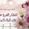 Фото профиля ابو فيصل