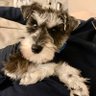BobM profil fotoğrafı