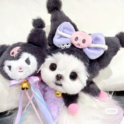 Sweetzerlandss's profile picture