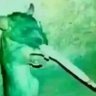 Profilbild von rato desgraça