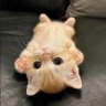 Фото профиля ✿ ⋆บ⋆อ⋆ต⋆อ ✿ 🍒🥐 ps.พี่มายค้าบ