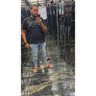Elviis Fernando R A 的头像