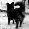MessIanoh925๐๐'s profile picture