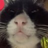 istrinya Ian emang gitu profil fotoğrafı