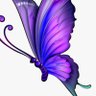 Manvitha Kotha's profile picture