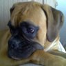 Profilbild von jose manuel