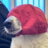 Profilbild von Jackie