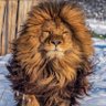 Фото профиля Mohammad