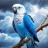 Allesrot profil fotoğrafı