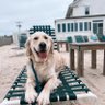 Duke's profile picture