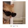 koooo profil fotoğrafı