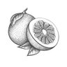 Profilbild von Busy Pomelo Arts