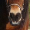 Profilbild von Oats Mobile