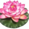 Priyancka's profile picture