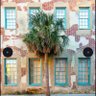 Фото профиля Palmetto-Moon-Red
