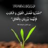 youssef khater 的头像