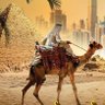 Profilbild von الدكتور الشيخ معن دياب