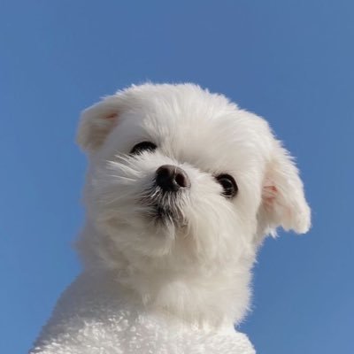 be__mystar's profile picture