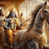 Фото профиля Reddy