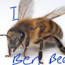 Фото профиля Ben Bee