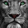 king ladolf👑 profil fotoğrafı