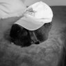 Profilbild von BobTheRabbit