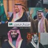 شادية 🌸 的头像