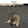 Ven 的头像