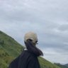 SauL profil fotoğrafı