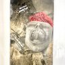 Фото профиля Cursed Schwitters