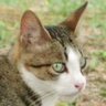 Profilbild von 佐久間ディック