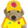 David Ospina's profile picture