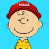 Charlie Frowns 🇺🇸 profil fotoğrafı