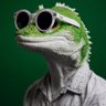 Paul-Israel 🇨🇮's profile picture