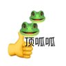 Yolo 的头像