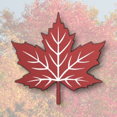 Explore Fall's profile picture