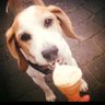 illtellyawhat! profil fotoğrafı