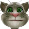 Profilbild von gato debiumental tom