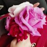Bint e Shabbir🌹 profil fotoğrafı