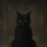 Sandzyy's profile picture