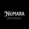 Numara 的头像