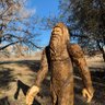 Big Foot's profile picture
