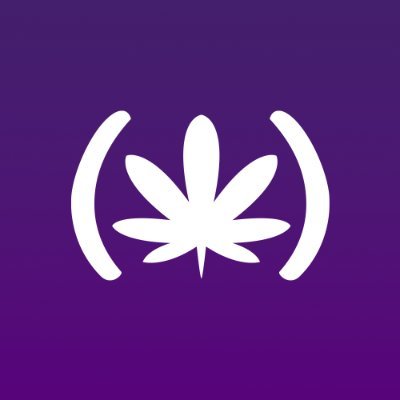 APEPI's profile picture