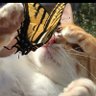 Bety_'s profile picture