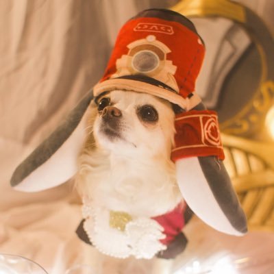 Princess Yukina | Cosplay Doggo 🐕's profile picture