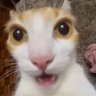 Profilbild von Solaire