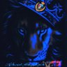 Profilbild von جٍنۈ̜̌بي̀́∇قلُ̜̌ب𓄂آلُإسُد̀́☆