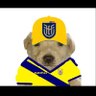ricardolh_ profil fotoğrafı