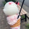 しげちゃん profil fotoğrafı