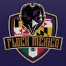 Profilbild von Ravens Flock Mexico